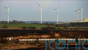 ‘New era’ needed to protect biodiversity across island of Ireland – Taoiseach