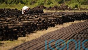Targets to be set for cutting emissions in key sectors of Ireland’s economy