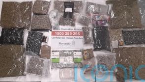 Custom dogs sniff out drugs worth 370,000 euros in parcels labelled as ‘tea’