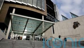 Landmark study finds Travellers’ trust in justice system is ‘extremely low’
