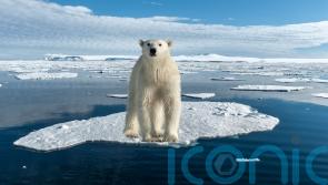 The best bucket list icy holidays inspired by Frozen Planet II