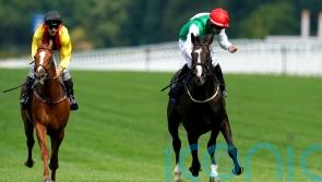‘Minor’ injury scuppers Pyledriver’s Arc hopes