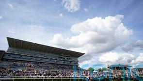 Doncaster to stage nine-race card on Sunday, with all fixtures on Saturday cancelled