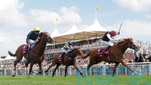 Kyprios out to continue tremendous campaign in Irish Leger