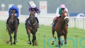 Chaldean enhances reputation in Champagne Stakes
