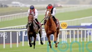 St Simon target for Irish Leger runner-up Hamish