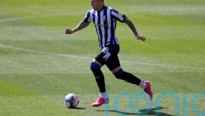 Josh Windass at the double as Sheffield Wednesday brush aside Morecambe