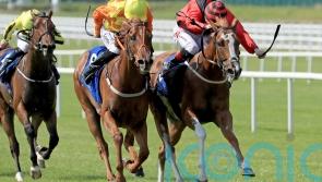 Meditate, Trillium and Treasure Trove set to do battle at Newmarket