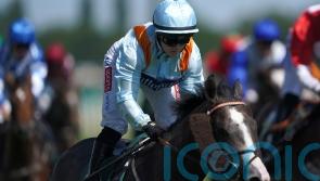 Further French success in Eddie’s Boy sights
