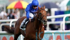 Appleby rules out Arc bid for Hurricane Lane