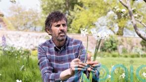 Gardeners’ World presenter Adam Frost shares 5 top spring bulbs