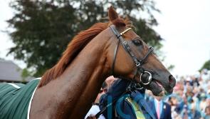 10 memorable Stradivarius races from a stellar career
