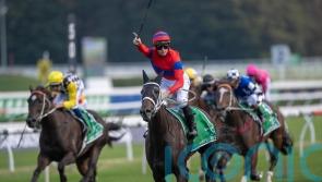No Arc bid for Verry Elleegant