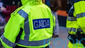Four youths arrested over ramming of Garda car by joyriders