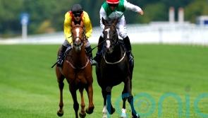 No Breeders’ Cup bid for Pyledriver