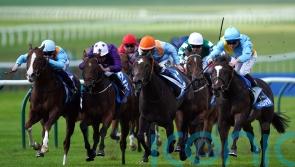 Rumstar keeps Portman’s perfect Cornwallis record intact