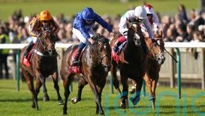 Silver Knott maintains Godolphin’s grip on Autumn Stakes