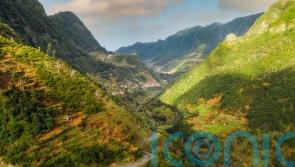 Exotic escapism without the jet lag – why Madeira is the ideal holiday for a quick fix