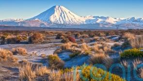 These surprising holiday destinations currently offer the best value for Brits