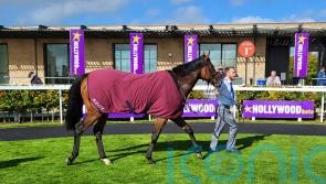 Paddington looks smart prospect in Curragh victory
