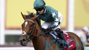 Nashwa bound for Breeders&rsquo; Cup date at Keeneland