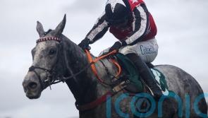 Straw Fan Jack is Cheltenham beauty for Sheila Lewis