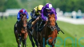 Hannon rates Persian Force as ‘best chance so far’ of Breeders’ Cup glory