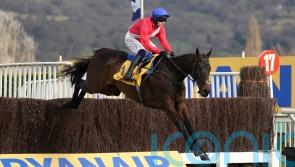 Mullins tempted to go for King George with Allaho