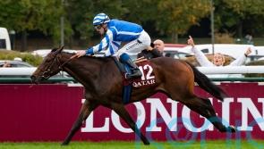 Blue Rose Cen poised to put Head name in lights again at the Breeders’ Cup
