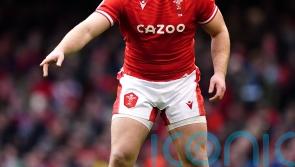 Dewi Lake ruled out of Wales’ Autumn Nations Series by shoulder injury