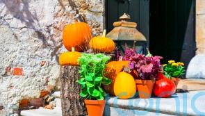 How to make the most of your Halloween pumpkin, so it doesn’t go to waste
