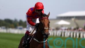Walker keen on Dreamloper’s Breeders’ Cup claims
