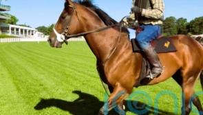Ward sights set on Breeders’ Cup hat-trick for Golden Pal