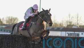 Ricci – Ground will dictate Royale Pagaille starting point