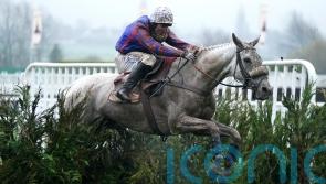 Bandey hoping to return Diesel D’Allier at the November meeting