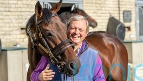 Baaeed leaves Newmarket for new life at stud