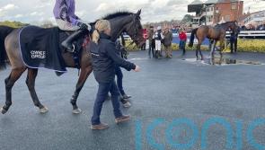 Stage Star puts in flawless performance on fencing debut at Warwick