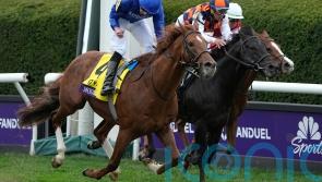 Modern Games too good in Breeders’ Cup Mile
