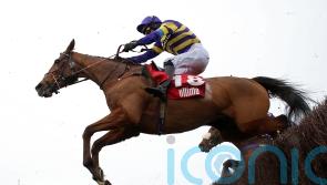 Scudamore sweet on Corach Rambler claims at Newbury