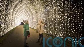 Festive garden events to get you into the Christmas spirit