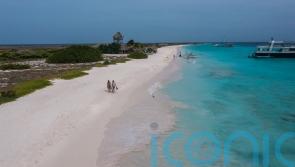 Why Dutch Caribbean Curaçao is the paradise island to visit right now