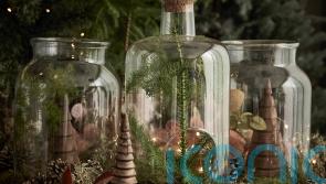 Make your own festive terrarium without spending a fortune