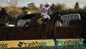 Nicholls sweet on Greaneteen’s Tingle Creek chance