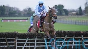 Honeysuckle all set for record-breaking fourth Hatton’s Grace