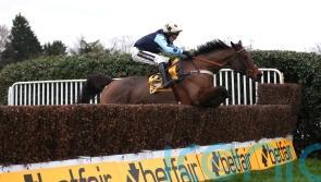 Edwardstone records scintillating Tingle Creek triumph