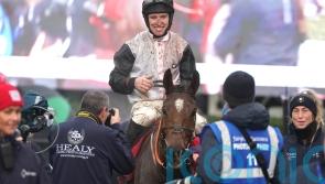 Teahupoo inflicts shock Hatton’s Grace defeat on Honeysuckle