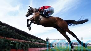 Rowland Meyrick assignment for Ahoy Senor