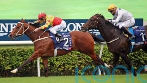 California Spangle scuppers Golden Sixty’s hat-trick bid