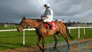 De Bromhead open to Mares’ Hurdle option with Honeysuckle