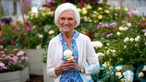 The way Mary Berry transports her Christmas turkey is genius